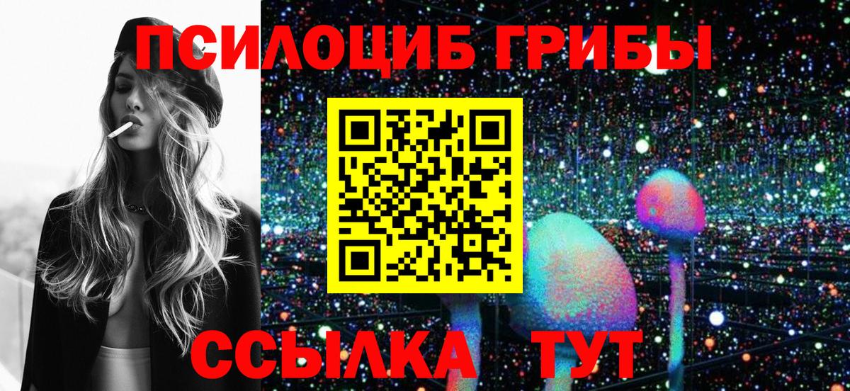 купить  цена  Галлюциногенные грибы прущие грибы  Вход с VPN  Абакан 